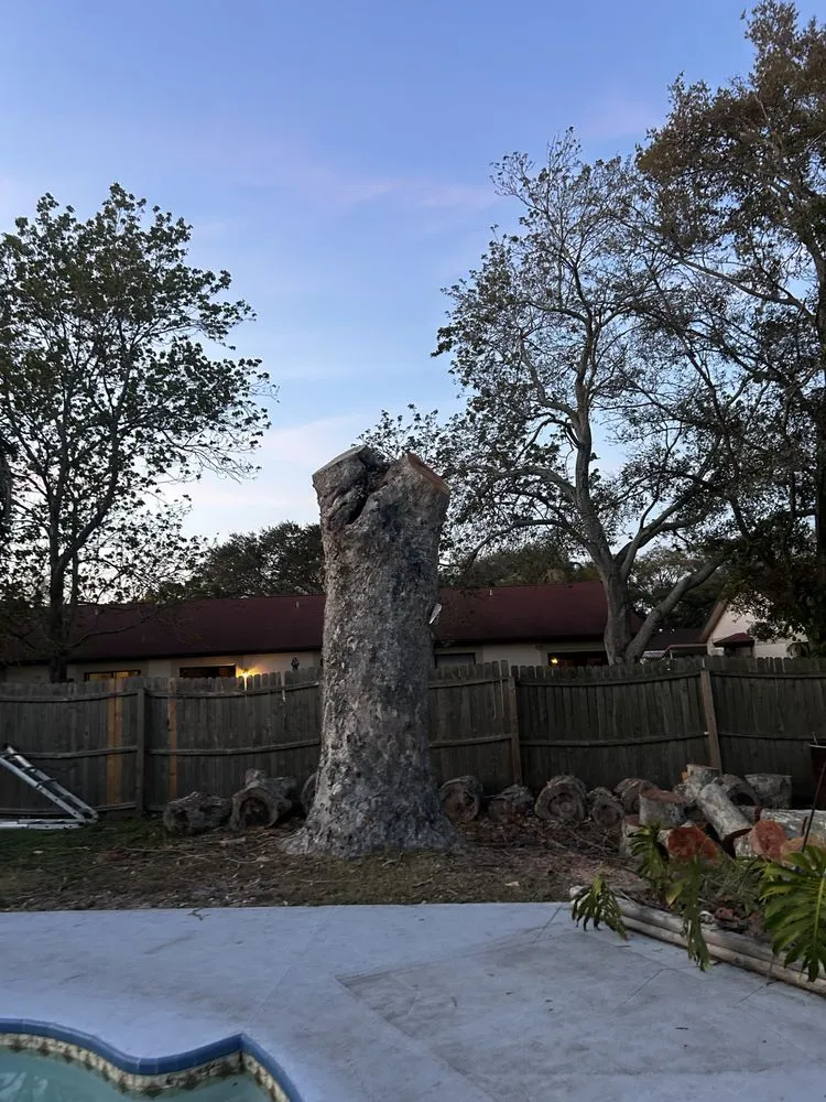 Custom outdoor landscaping for residential properties in Redington Shores, FL by Dynamic Trees