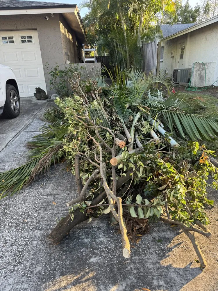Top-rated residential landscaping in Redington Shores, FL by Dynamic Trees