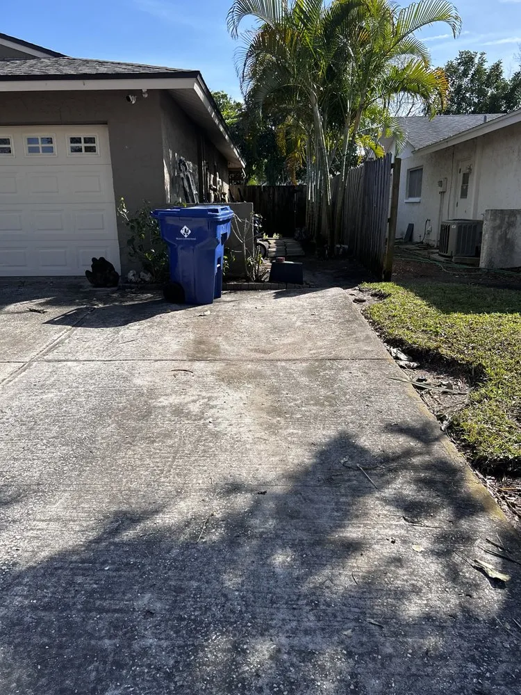 Affordable landscape installation in Redington Shores, FL - Dynamic Trees