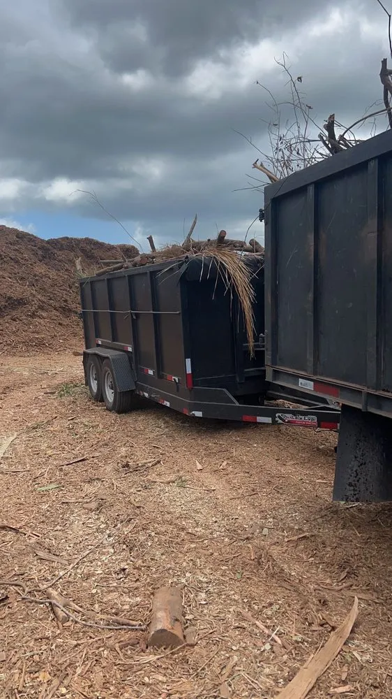 Reliable residential landscaping experts serving Redington Shores, FL - Dynamic Trees