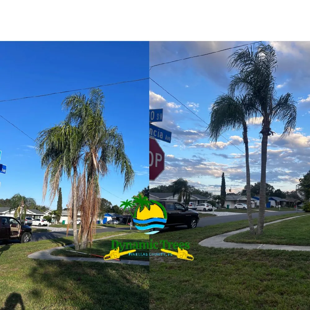 Expert outdoor landscaping in Redington Shores, FL by Dynamic Trees