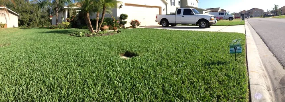 Reliable landscape design for year-round maintenance in Lakeland, FL by Dynamic Turf Management
