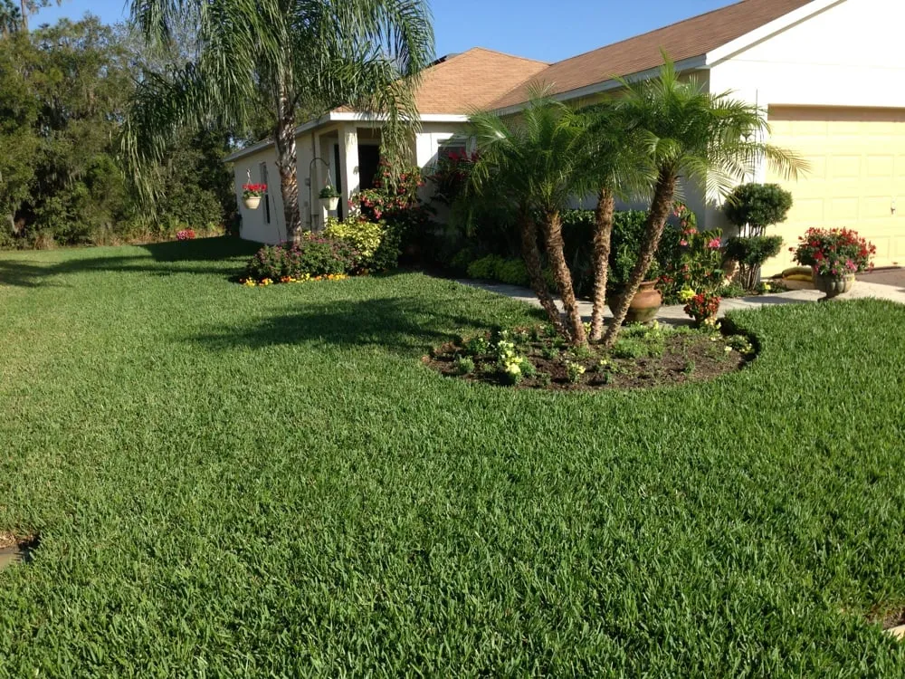Professional yard cleanup service in Lakeland, FL by Dynamic Turf Management