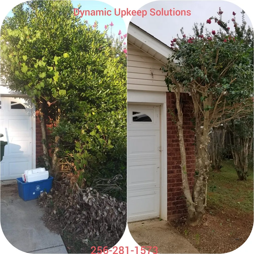 Affordable yard cleanup service for homes across Huntsville, AL - Dynamic Upkeep Solutions