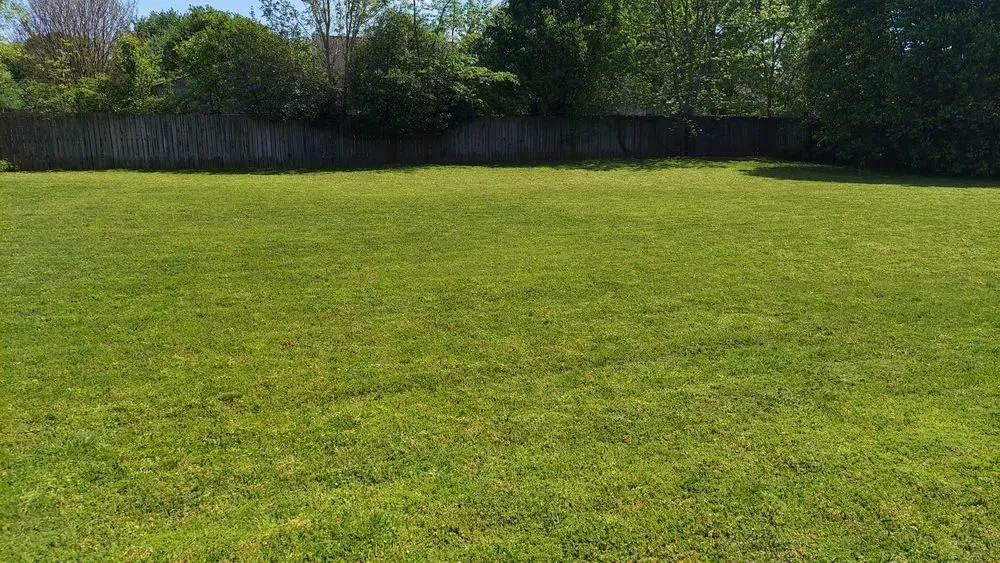 Reliable yard maintenance experts serving Huntsville, AL - Dynamic Upkeep Solutions