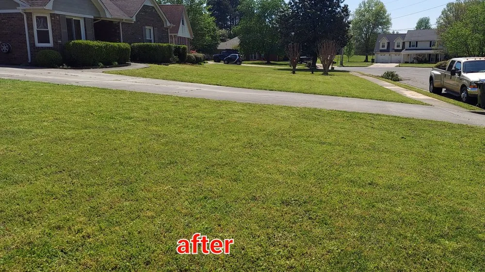 Reliable landscape installation experts serving Huntsville, AL - Dynamic Upkeep Solutions
