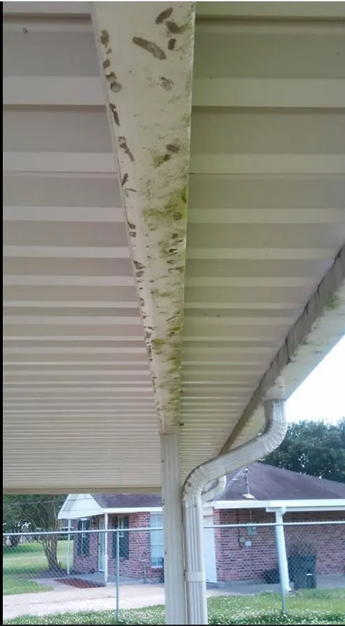 Local garden landscaping near you across Boutte, LA - Dynamite Blast Pressure Washing Services