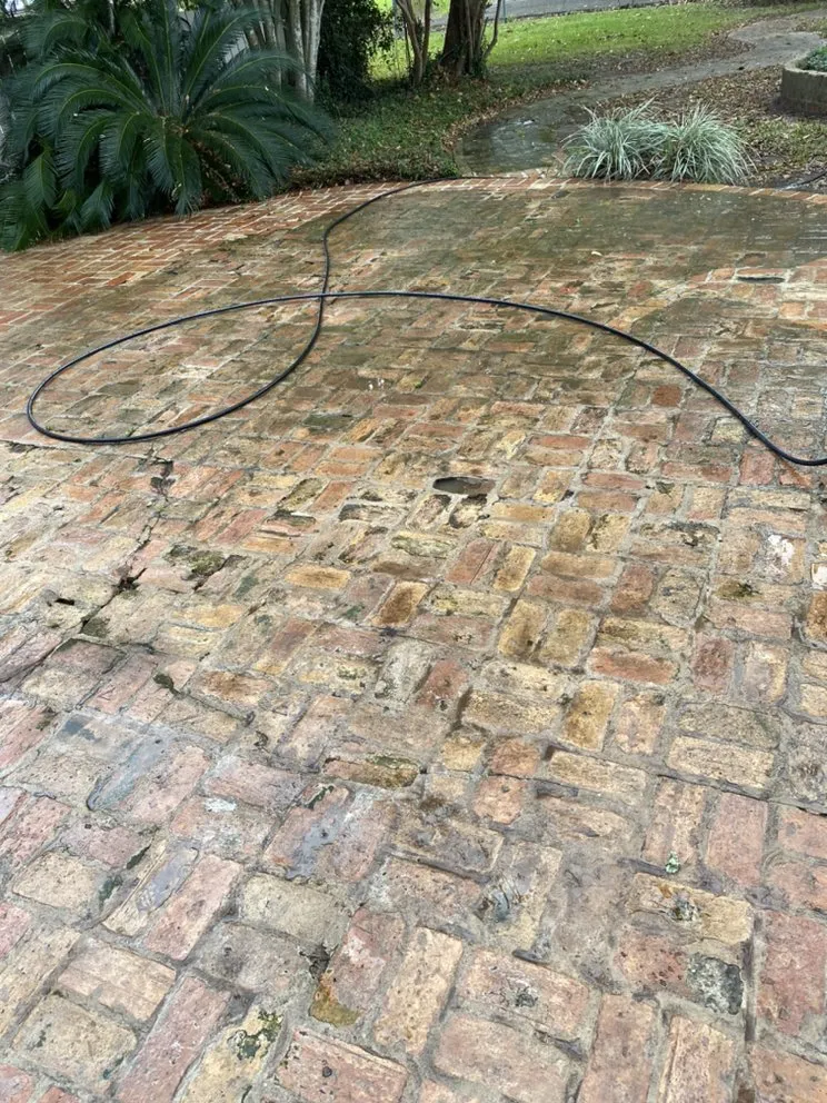 Top-rated lawn care service experts serving Boutte, LA - Dynamite Blast Pressure Washing Services