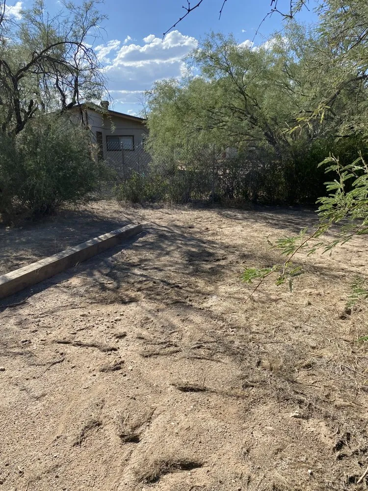 Local landscaping services for outdoor upgrades in Tucson, AZ by Dynamite Handyman and Landscaping