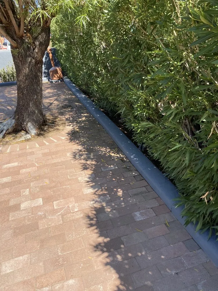 Trusted yard cleanup service in Tucson, AZ - Dynamite Handyman and Landscaping