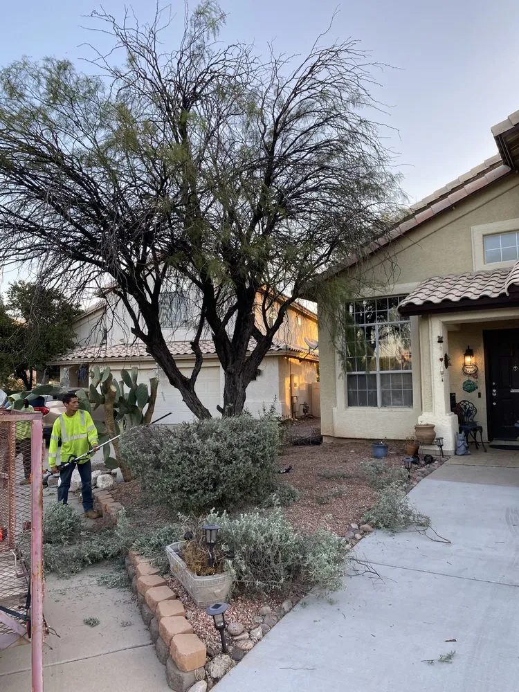 Custom lawn mowing service for outdoor upgrades in Tucson, AZ by Dynamite Handyman and Landscaping