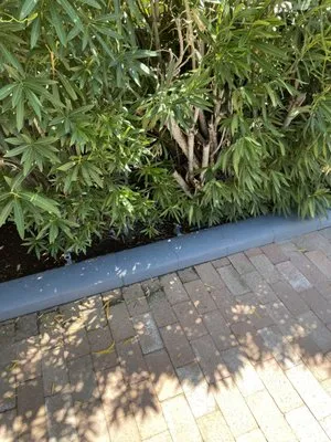 Dynamite Handyman and Landscaping Logo