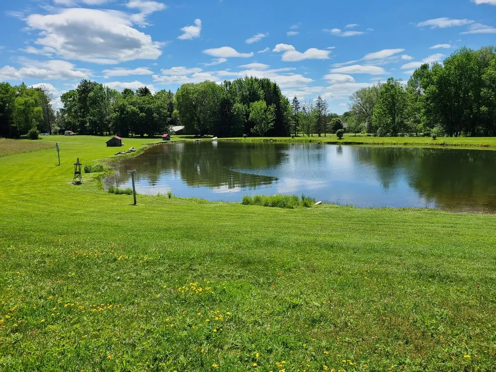 Professional yard cleanup service for outdoor upgrades across Akron, OH - Dynamite lawncare