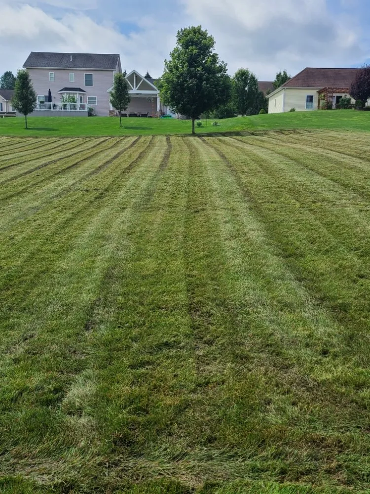 Trusted landscaping services for beautiful yards across Jamestown, NY - Dynamite Lawncare Of Chatauqua Ny