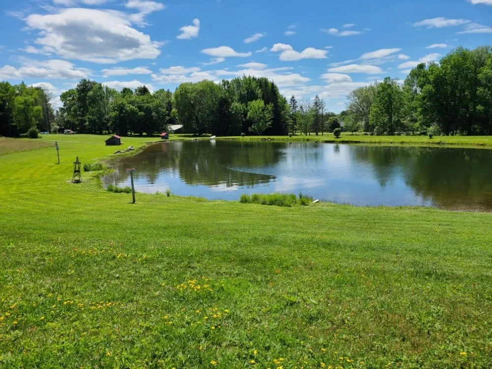 Affordable lawn care service experts serving Jamestown, NY - Dynamite Lawncare Of Chatauqua Ny