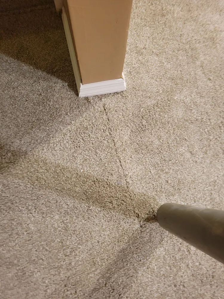 Custom residential landscaping in Columbus, OH - Dynasty Business Solutions