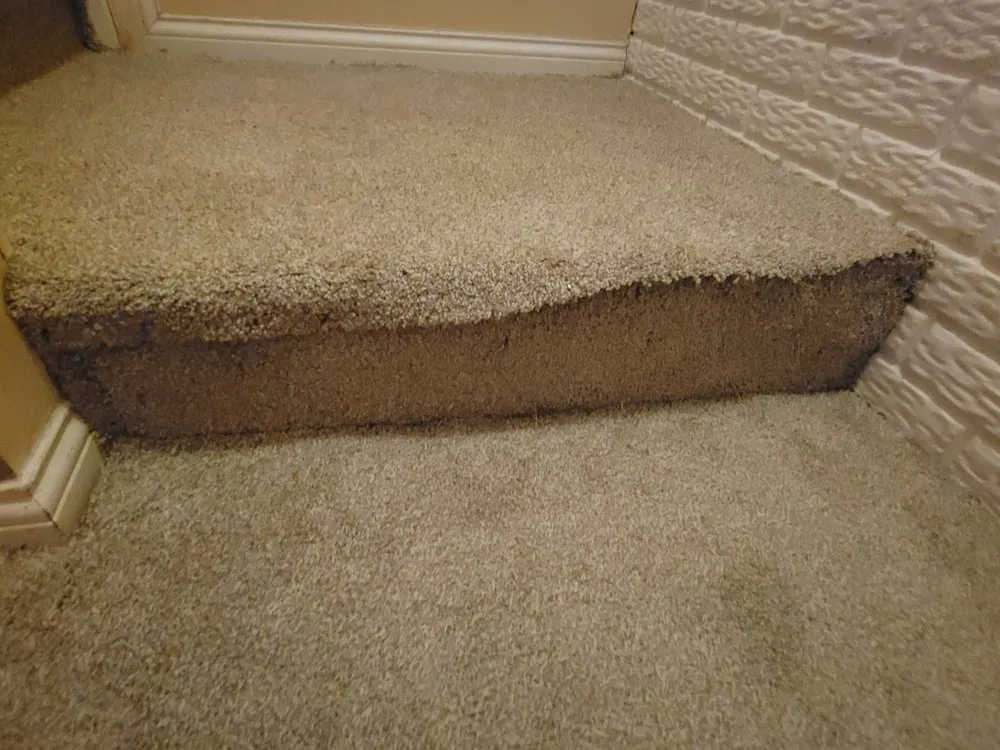 Professional landscape installation with custom design across Columbus, OH - Dynasty Business Solutions