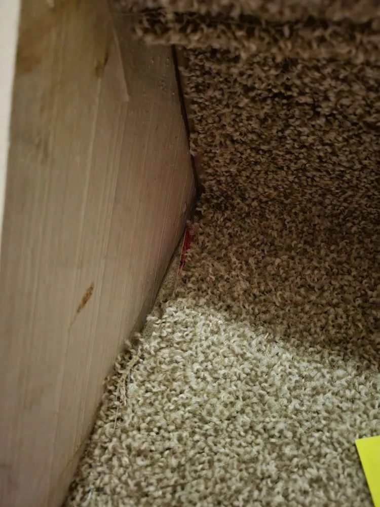 Professional residential landscaping for beautiful yards across Columbus, OH - Dynasty Business Solutions