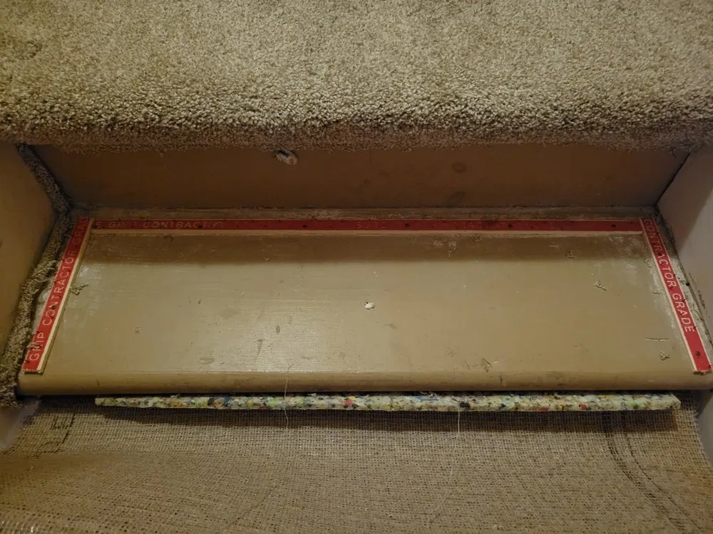 Expert yard cleanup service experts serving Columbus, OH - Dynasty Business Solutions