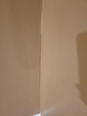 Dynasty Business Solutions Logo