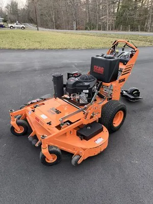 Dynasty Creative Designs