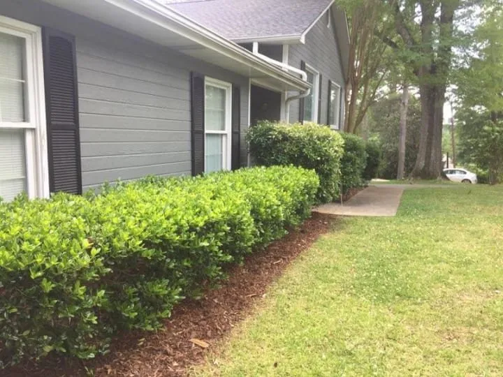 Top-rated outdoor landscaping for outdoor upgrades across Trussville, AL - Dynasty Fence & Lawn