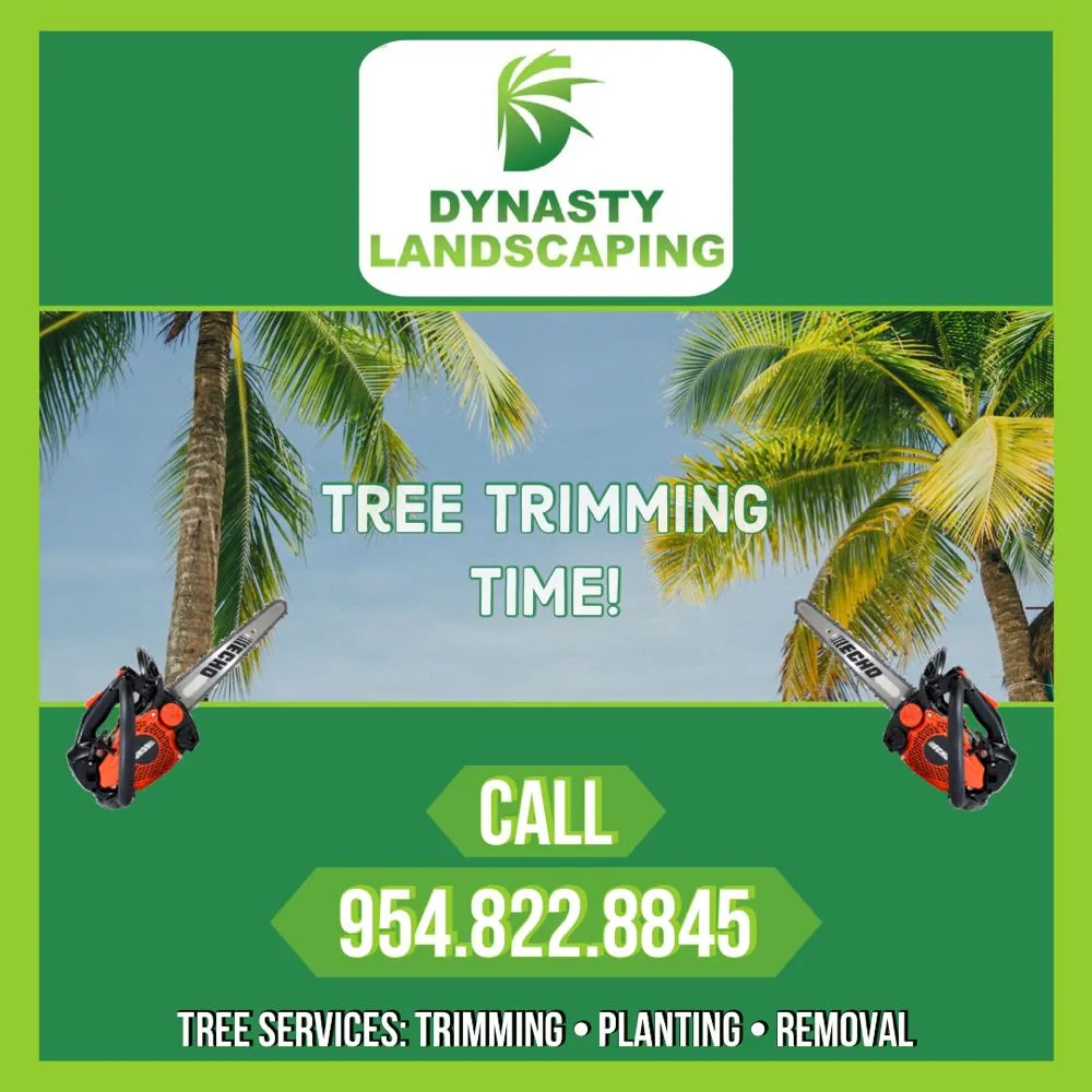 Professional yard maintenance for homes across Boca Raton, FL - Dynasty Landscaping