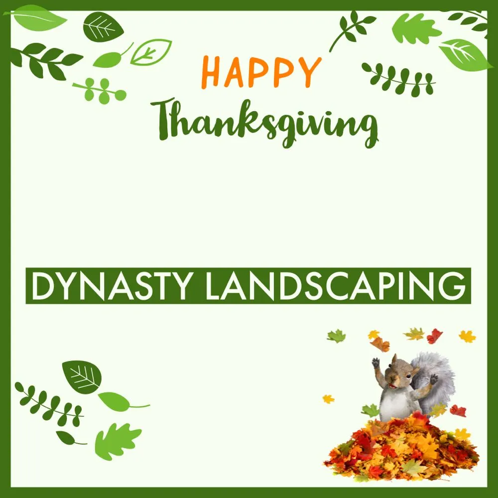 Local lawn mowing service experts serving Boca Raton, FL - Dynasty Landscaping