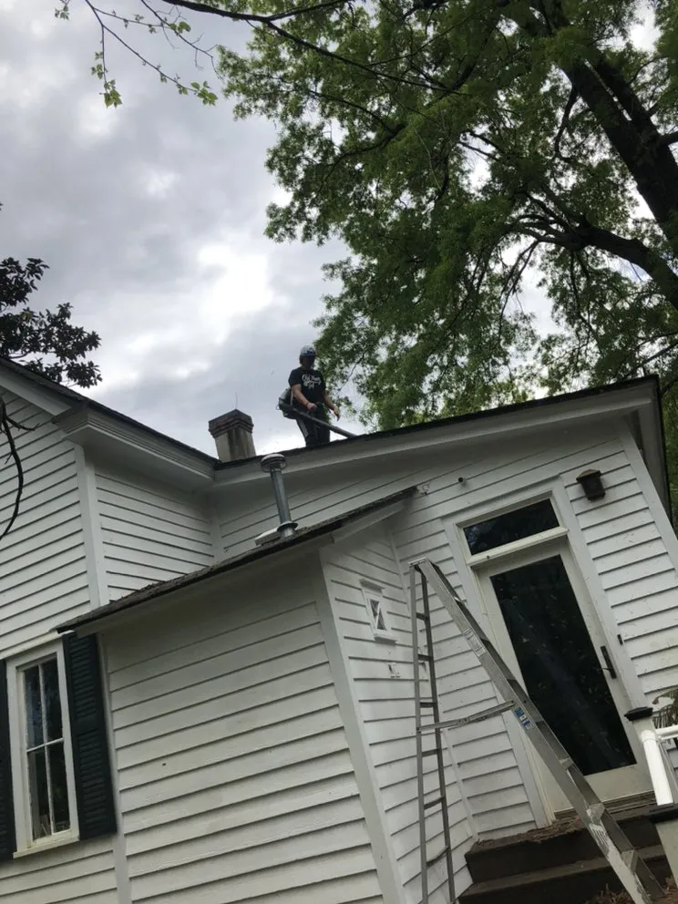 Professional landscaping services experts serving Belvedere, SC - Dynasty Lawncare Services