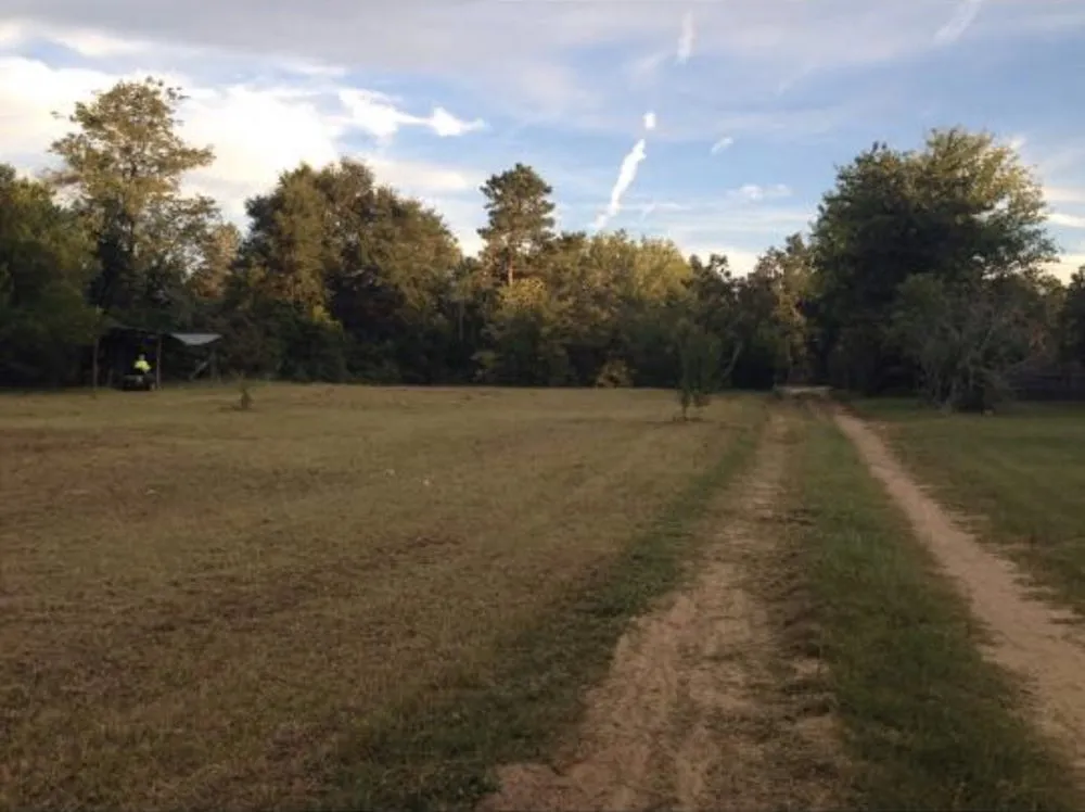 Custom yard maintenance in Belvedere, SC by Dynasty Lawncare Services