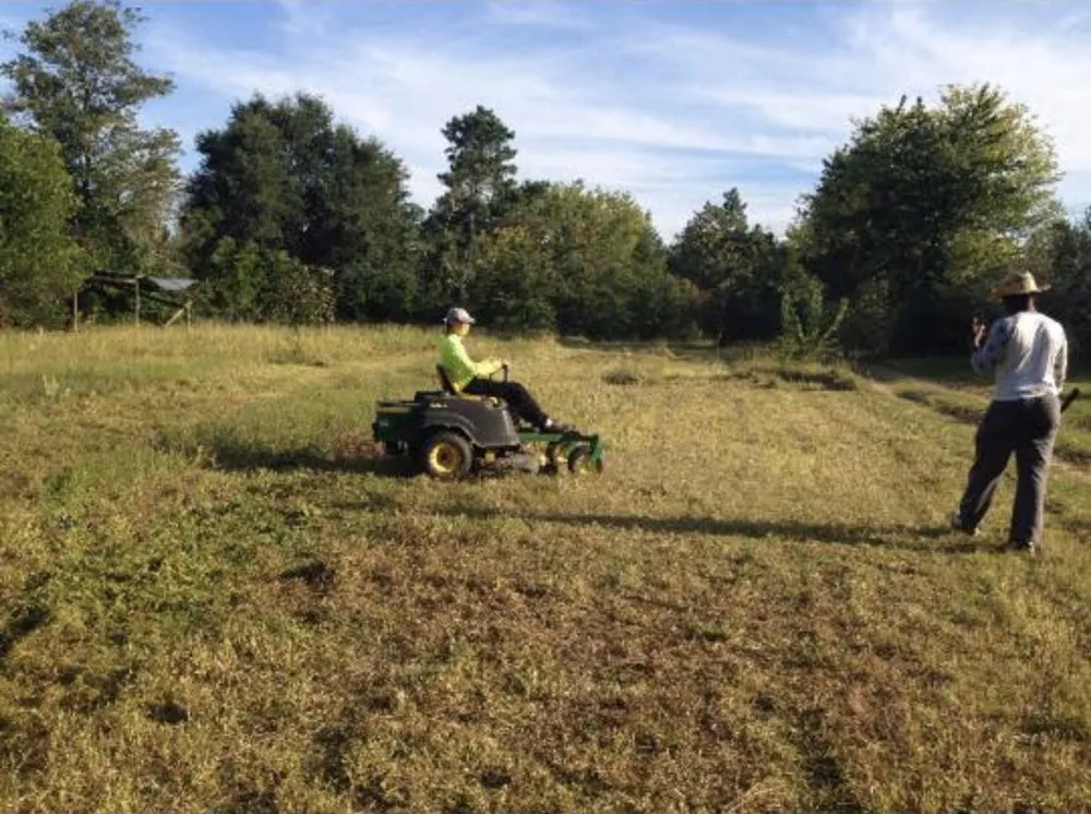 Trusted residential landscaping experts serving Belvedere, SC - Dynasty Lawncare Services