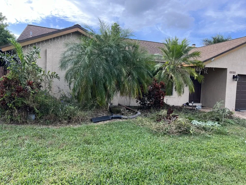 Top-rated residential landscaping in Davie, FL by Dynasty Tree Service