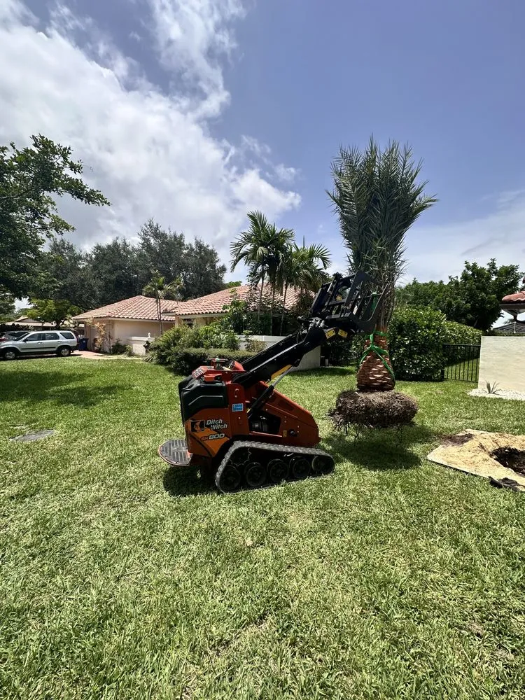 Expert lawn mowing service near you across Davie, FL - Dynasty Tree Service