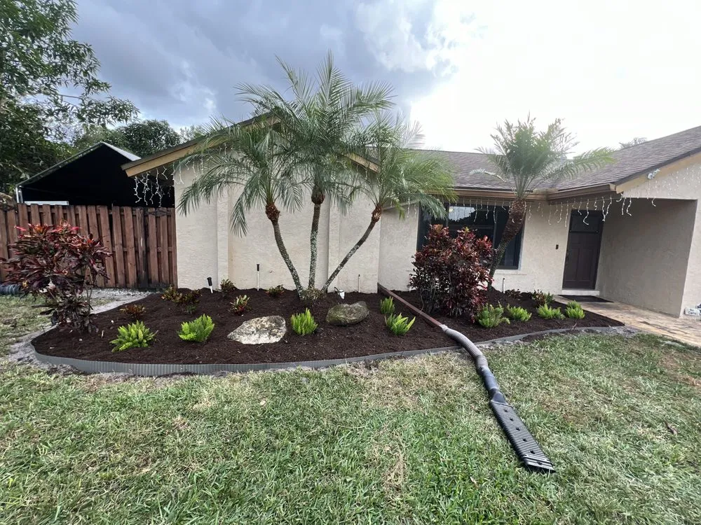 Trusted lawn care service in Davie, FL - Dynasty Tree Service