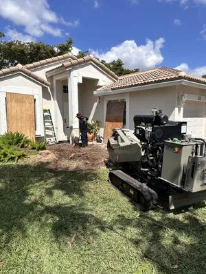 Dynasty Tree Service