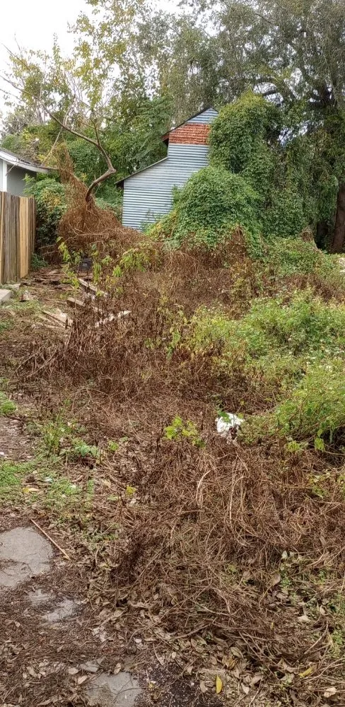 Trusted landscape installation for homes in Marrero, LA by Dyno Hauling