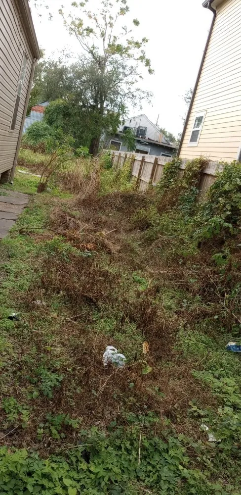 Local yard maintenance experts serving Marrero, LA - Dyno Hauling