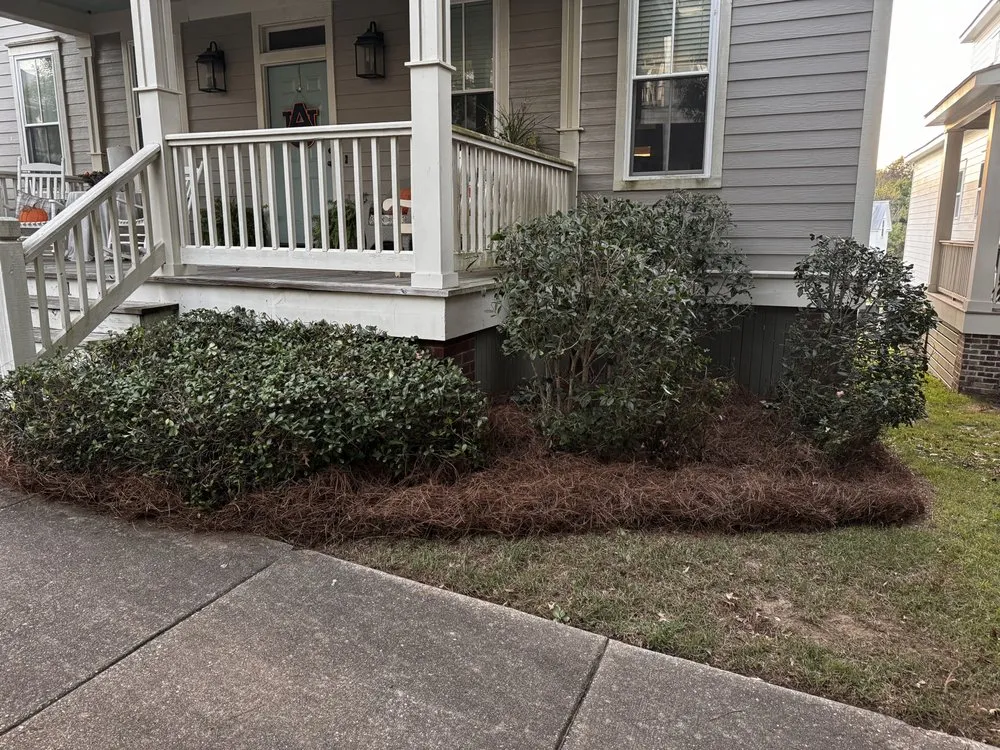 Local lawn mowing service in Montgomery, AL by Dyno Lawn Services