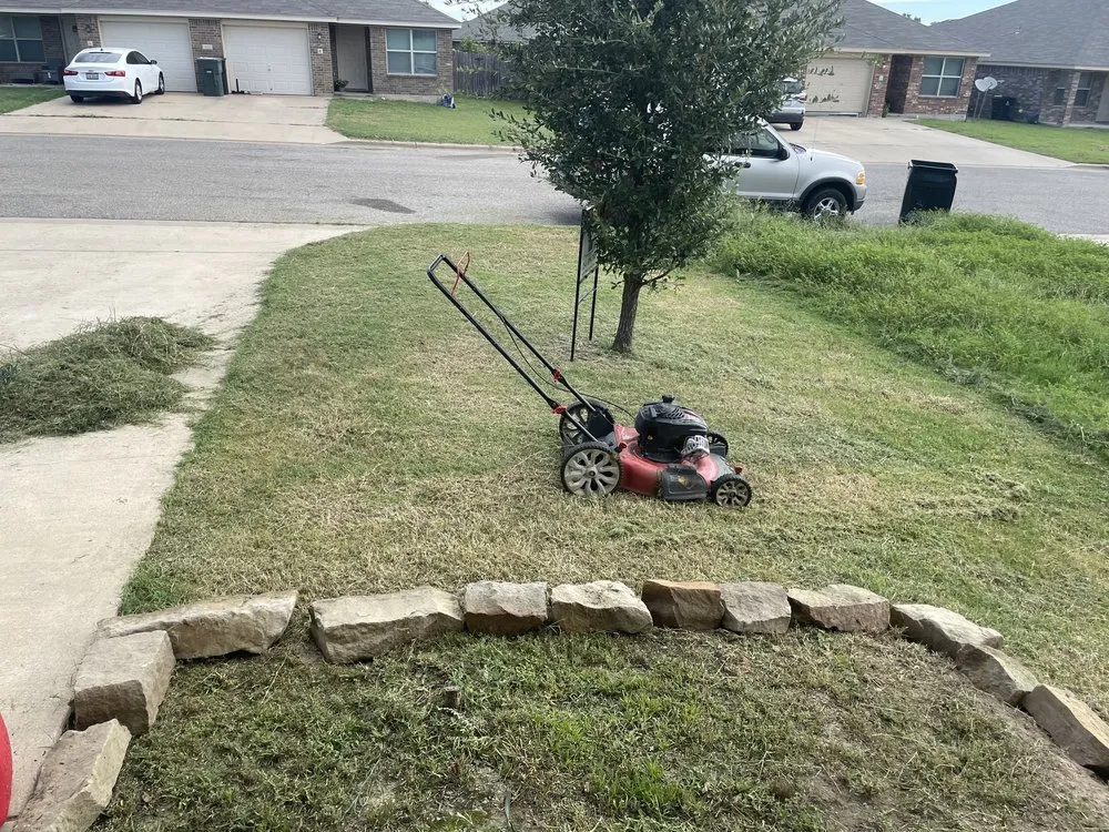 Expert lawn care service in Temple, TX - DYoung Fam Lawn Care