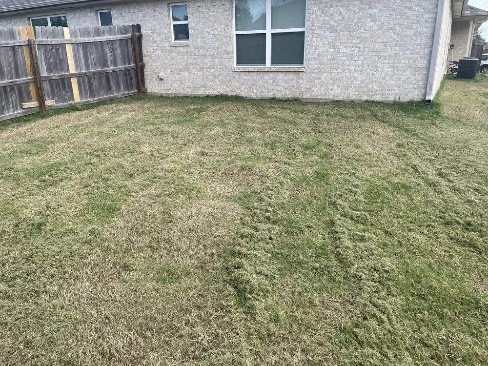 Custom lawn mowing service near you across Temple, TX - DYoung Fam Lawn Care