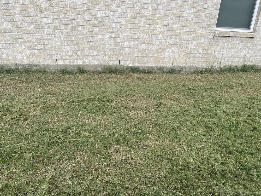 Affordable garden landscaping in Temple, TX by DYoung Fam Lawn Care