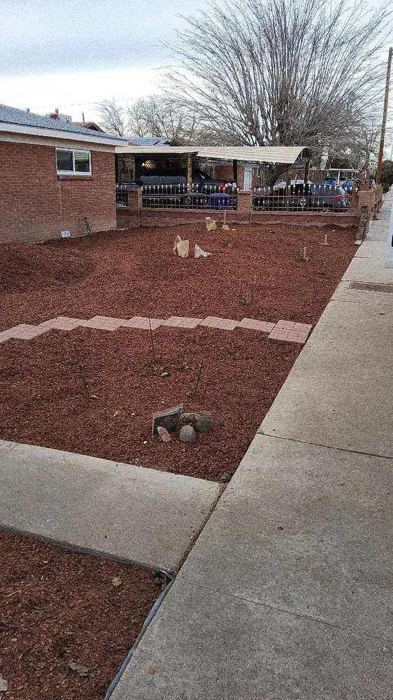 Trusted yard maintenance experts serving Albuquerque, NM - Dyxon Designs and Services