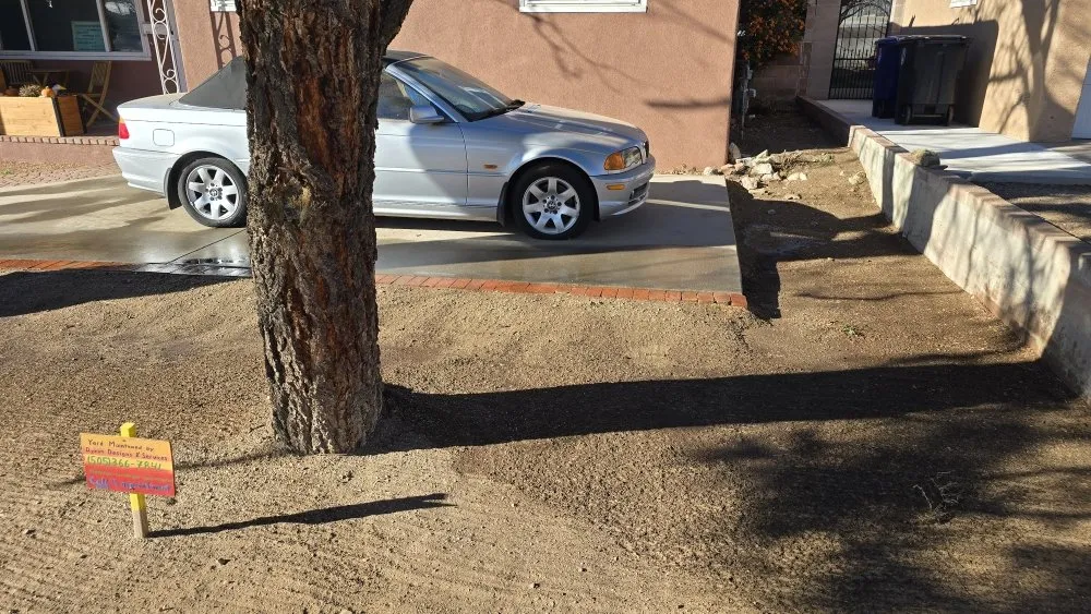 Trusted lawn care service in Albuquerque, NM - Dyxon Designs and Services