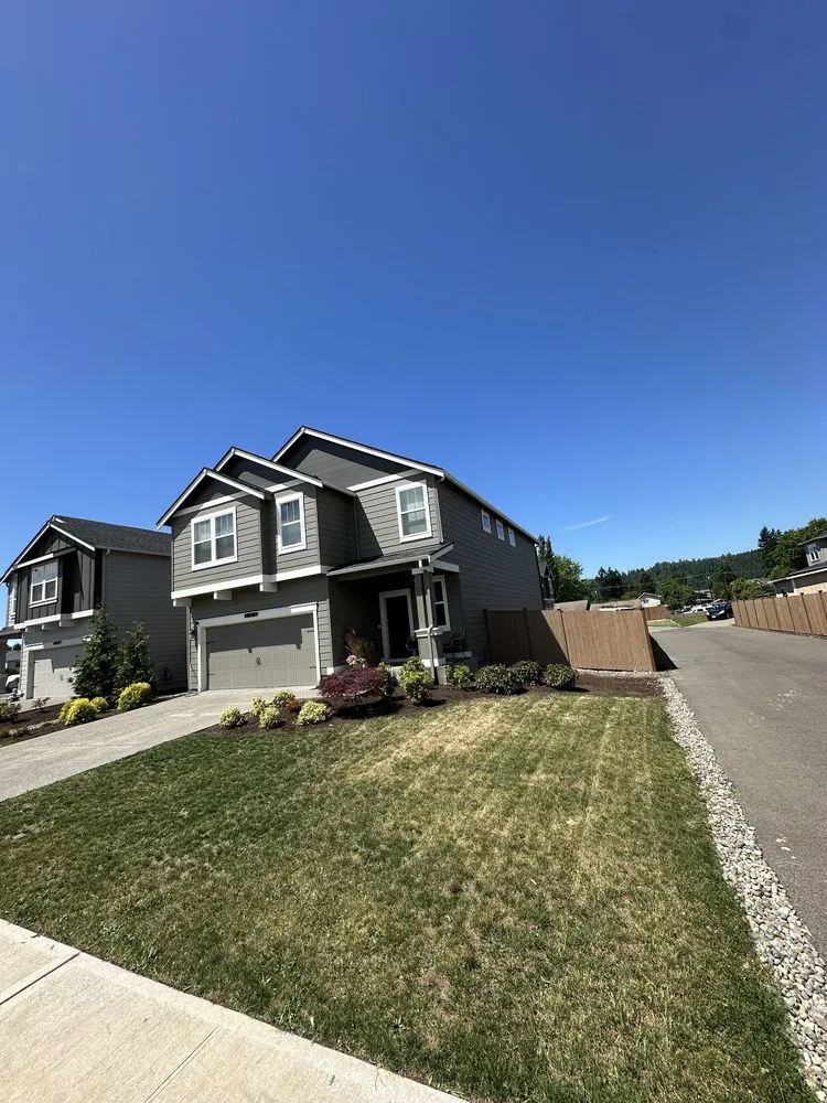 Top-rated yard cleanup service near you in Tacoma, WA by DZ Alpha