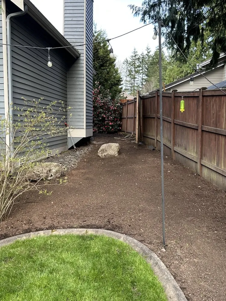Top-rated yard cleanup service experts serving Tacoma, WA - DZ Alpha