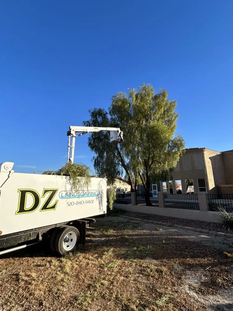 Professional lawn mowing service experts serving Arizona City, AZ - DZ Landscaping