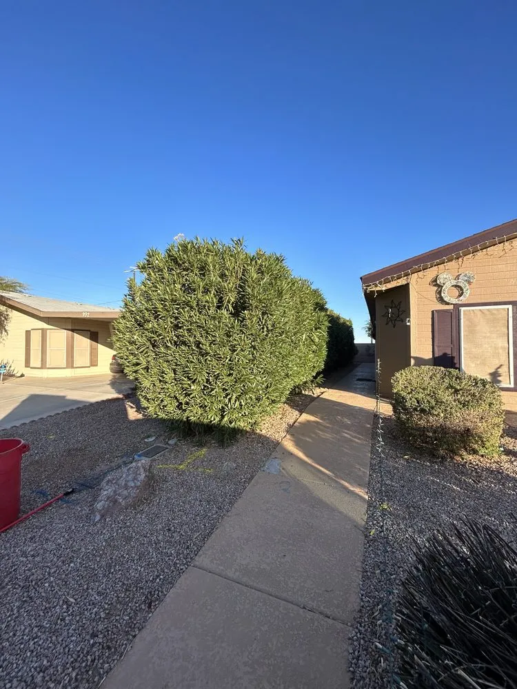 Affordable garden landscaping experts serving Arizona City, AZ - DZ Landscaping