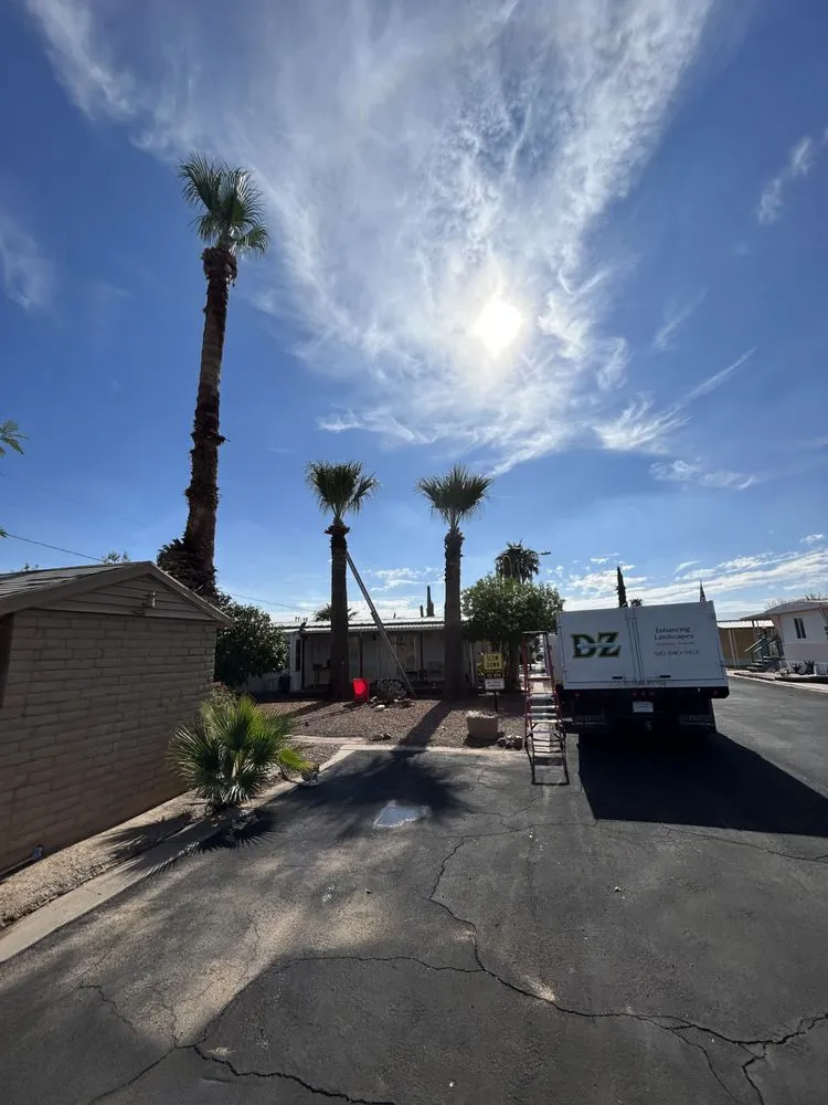 Custom residential landscaping in Arizona City, AZ - DZ Landscaping