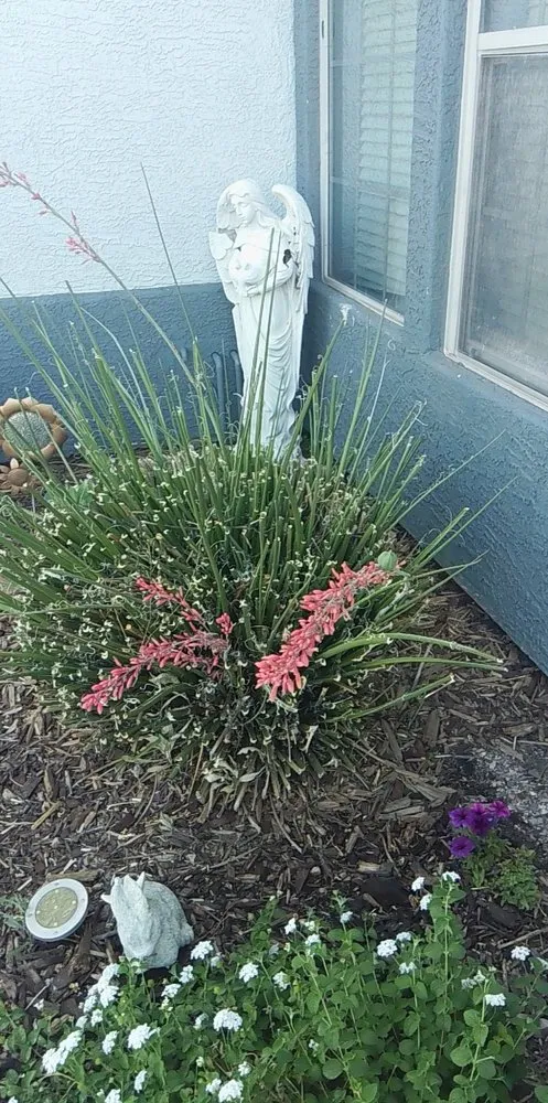 Expert landscape installation experts serving Arizona City, AZ - DZ Landscaping