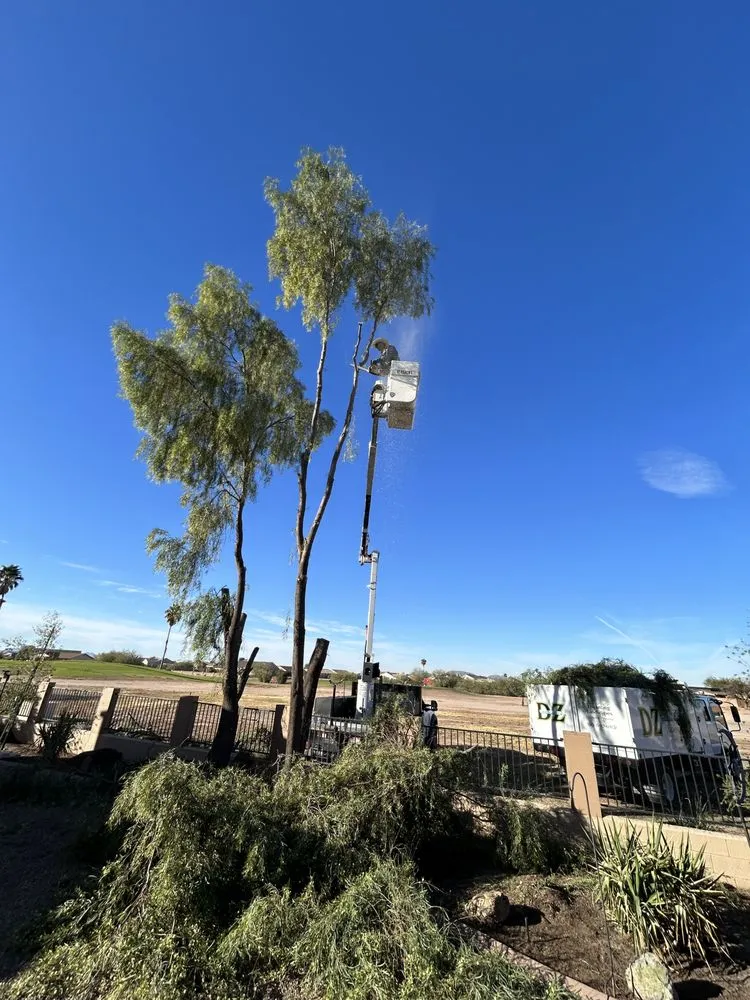 Top-rated residential landscaping for homes in Arizona City, AZ by DZ Landscaping